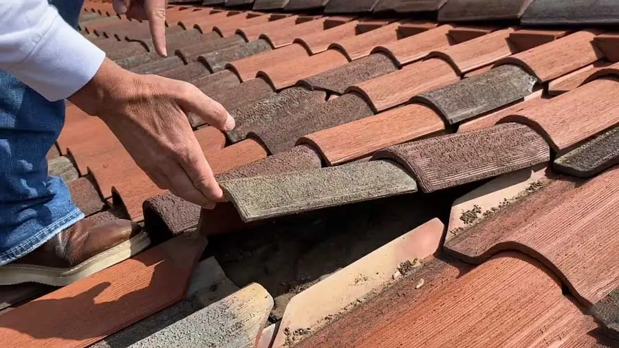 tile-roofing-florida